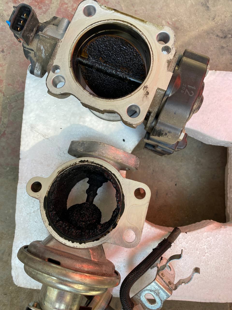 EGR Delete & Disable